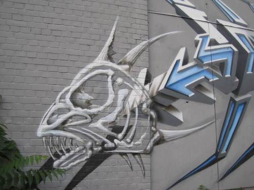 Wir sind wieder unten. Fisch oder Reptil? Viele Künstler und solche, die sich dafür halten oder auf dem Weg dorthin sind, haben sich an sämtlichen Flächen verewigt. Man ist mancherorts innen auch live dabei.