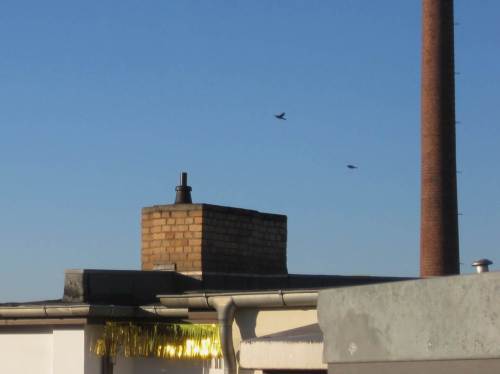 Die Sonne mit Gold einfangen ...