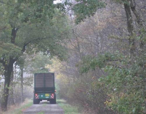 Letzte (?) überladene Fuhren werden verfrachtet. Dieses Jahr war allzu trocken, selbst anmoorige Böden sind wie Beton befahrbar. Und diese Übernutzungen bezahlen wir Steuerzahler - zwangsveranlagt.