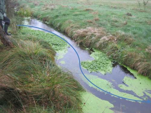 Der Modellbach zeigt uns, wie er auf dem Weg zum lebendigen Bach zu unterstützen ist.