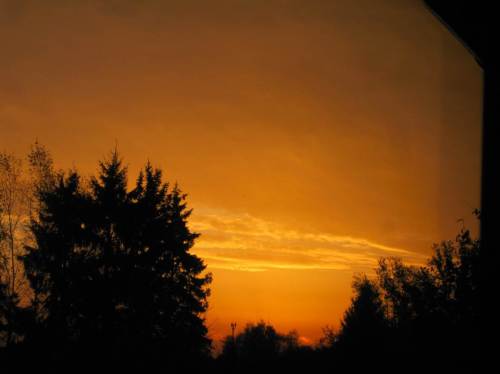 Nun ist`s Rotgolden.