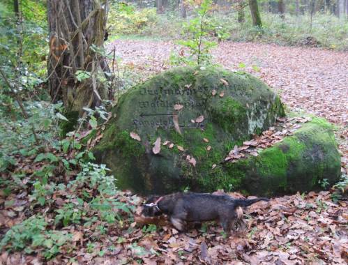 Gehen wir also in Wald, Feld und Flur - immer der Nase nach.