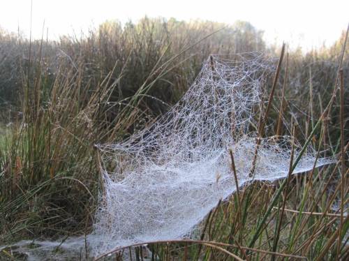 Bau-Kunst - hier holt sich mancher sicherlich die Ideen für Hochzubauendes.