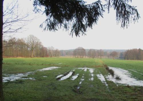 Wasserwiese mit Fahrspur - mancher fährt heutzutage nicht mehr nach Situation, sondern, wann er will.