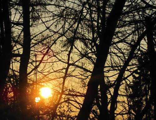 Bis dahin geht der Sonnensüchtige bei Bedarf ins Wohnzimmer. Doppelsonne  :-) .