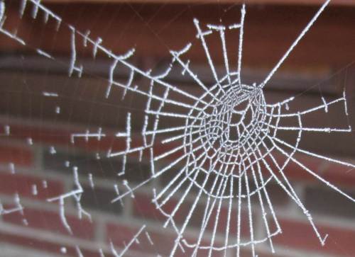 Auch im Umfeld des Hauszugangs heissen wir die eifrigen Helfer mit ihren Kunstwerken willkommen. - Nicht: "Iiiiihh ... Spinnnnnen!"