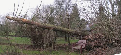 Insgesamt sieht das nun so aus, schwebendes Totholz.