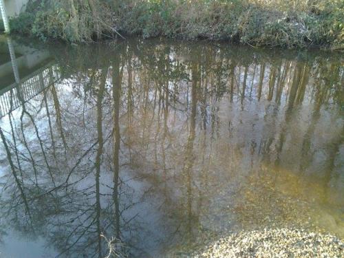 Und fertig ist die Probe-Lenkbuhne. Leichte Turbulenzen zeigen die Ablenkung des Wassers Richtung Gewässermitte.