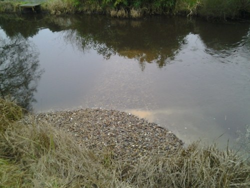 Im gewaschenen Kies noch enthaltene Resttrübe zeigt schön den fast Ufer-parallelen Stromstrich. Wie beabsichtigt findet  hiernur eine geringe Ablenkung Richtung Gewässermitte statt.