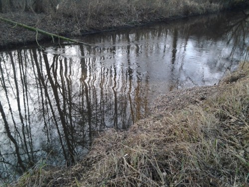 Sehr schönes Strömungsbild im Abstrom, der Seevekanal belebt sich.