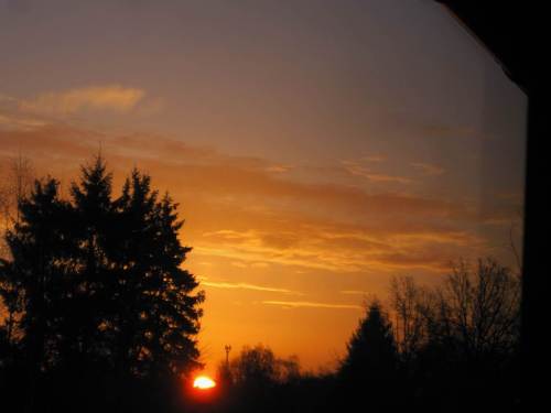 Here comes the sun - Büschen schief.