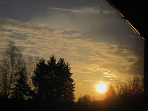 Die Dachrinne leuchtet, die östliche Hauswand wird angeschienen. Die Spatzenkolonie jubiliert!