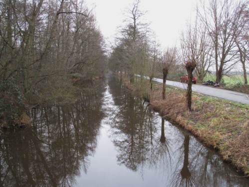 Erlen, Eschen und Weiden säumen weite Strecken des Seevekanals auf Hamburger Gebiet.