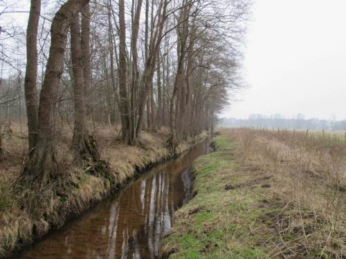 Am benachbarten Bach, unglücklich mit dem Namen Damm"graben" versehen, deutet sich noch die Mäandertendenz des naturnahen Fliessens an. Die soll nun unterstützt werden.