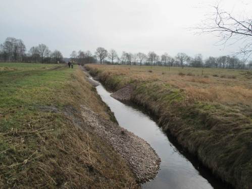Blick aus der Strecke, nun mit wechselnden Einengungen versehen, bachauf Richtung Brücke. Auch dies ein Resultat der Änderungsauflage. Angesichts des Einbaus "im Keller" wird hier unnötig Boden vom (überhohen) Ufer erodiert werden und abwärts gebaggert werden müssen. - Sohlgleiten mit beidseitigem Uferschutz waren der Plan ...