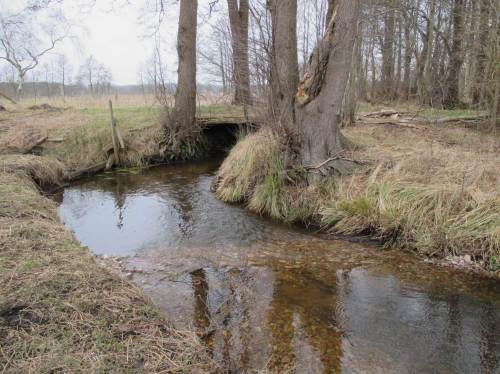 Blick bachab auf die rechtwinklige Kurve. Die Lenkbuhne mit ihrer Ausrichtung gegen die Strömung bringt Turbulenz ans rechte Ufer und nimmt wie beabsichtigt den Druck aus dem linken.
