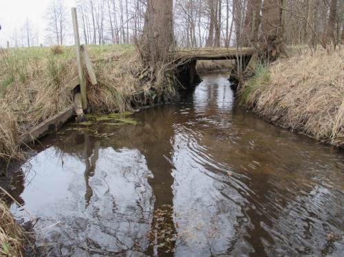 So "verschwindet" der Bach zwischen den Erlen an der Überfahrt. Wie hier zeigen nur an wenigen Stellen unserer Bäche noch beidseitig stehende Altbäume den naturnahen Zustand, unter anderem mit seinem viel schmaleren und lebendigeren Profil als die fortwährend kaputt gebaggerten Agrar-Einöden.