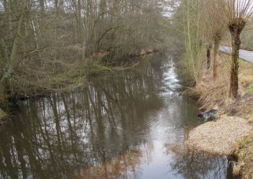 "Was`s `n das!? War doch vorher nicht hier?! - Ok, mach ich ein paar Wellen dazu."