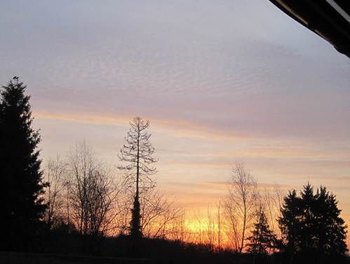 Zwei Raben erwarten den Sonnenaufgang.