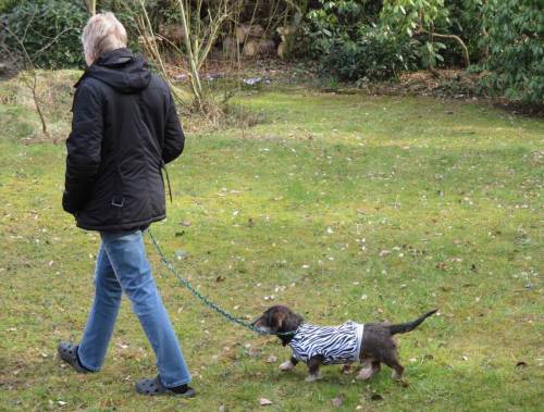 Ganz munter das Kerlchen, Pink ist ab - also doch Albino-Tiger.