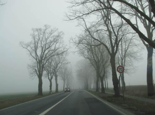 Wenige 100 Meter entfernt - dichter Nebel. Hier wird gar kein Energienetz zusammenbrechen! Später sah es bei uns im Umfeld überall so aus ...