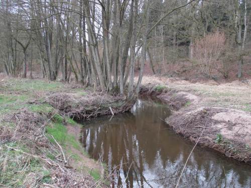 Nach Baumverlust bleibt eine übertiefe, überbreite Gewässerwüste.