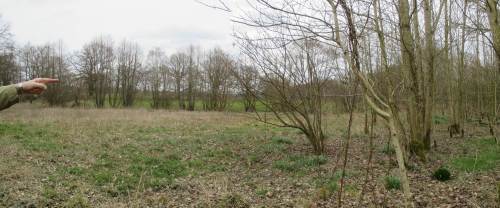 Inzwischen sind Teile der Aue aus der Nutzung genommen und stehen für Naturentwicklung zur Verfügung.