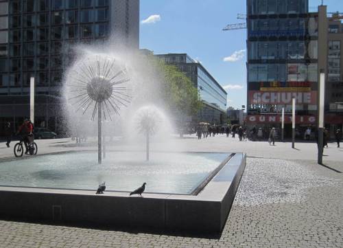 Tschüß, ihr Dresdner Wasser-Igel und Tauben, es geht nordwärts.