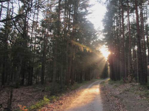 Gut angekommen, jetzt schnell per Rad an den Weststrand, Sonne anbeten.