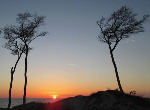 Zwischen den bekannten "Windflüchtern" versinkt die Sonne am Meereshorizont.