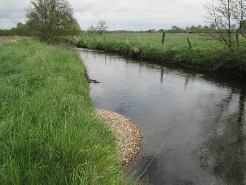An anderer Stelle brachte der Recher den Rechen zum Einsatz. Es galt, solche Kies"knubbel" in Strömungslenker / Lenkbuhnen umzuformen.