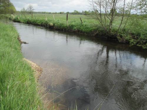 Schon fertig, hat gar nicht weh getan. Kann wohl so bleiben, wird weiter beobachtet.