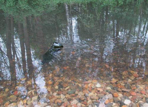 Strömungsanzeiger (bitte entsorgen!) - ja, es fliesst.