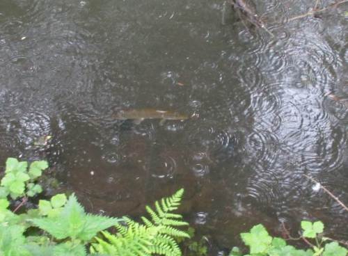 Vielleicht, damit es besser funktioniert, noch ein zweites Mal.