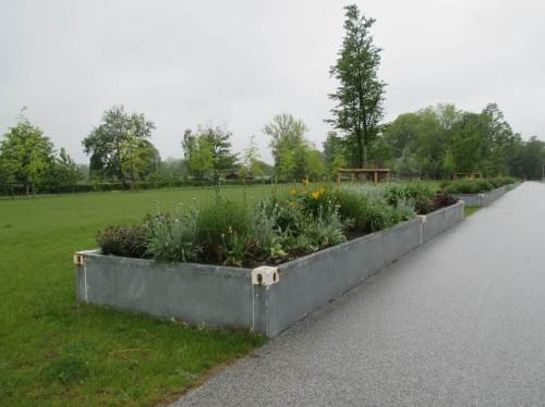 Ziemlich kahl und unterhaltungsintensiv - zentraler Zugangsbereich, der zu Zeiten der IGS eine Vielzahl bunter Garten- und Umweltthemen bot.