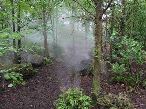 Auch der Nebelwald nebelt noch.