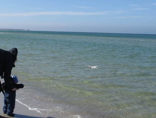 Auch die nachwachsende Generation begeistert sich für Sonne, Wind und Wellen samt Flora und Fauna.