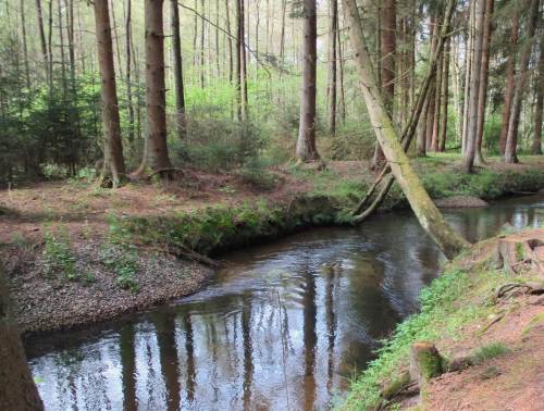 Restaurierungsbeispiel Kies-Depot - inzwischen vielfach und vielerorts bewährt. Der Bach nimmt sich, wenn er möchte und transportiert es an die bestgeeignete Stelle.