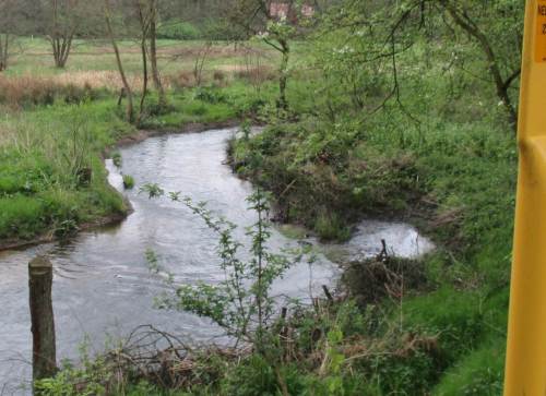 Mäander, in Ausgleichs- und Ersatzmaßnahme mit Kies und Geröll bestückt. Turbulente Strömung und Stromstrich ("Thalweg") sind wiederhergestellt. Die Sohle lebt, voller standorttypischer Wirbelloser.