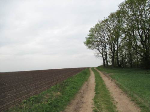 Fassungslos vorm Horizont - fast "on top of the world", zwischen Elbe- und Weser-Einzugsgebiet.
