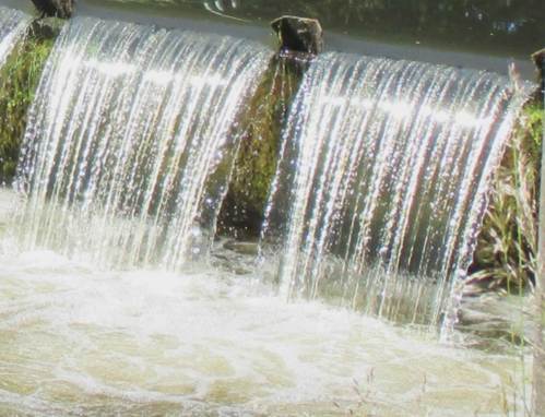 Überfall am Seevewehr in Maschen, einem der maßgeblichen Hindernisse für wandernde Organismen.
