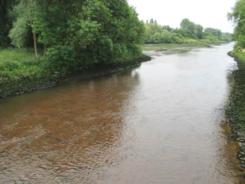 Wir haben den Tideniedrigwasserzeitpunkt der Elbe genutzt und sind an den Deich gefahren: Seevemündung binnendeichs - überbreites, flach über Sandbett rauschendes Wasser. Als Wanderfisch findet man das wohl nicht so toll, als Standfisch gibt es einem das AUS.