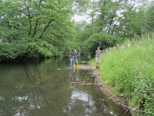 Übertiefe Lage des Fließgewässers - nahezu überall sind Sohlanhebungen erforderlich.