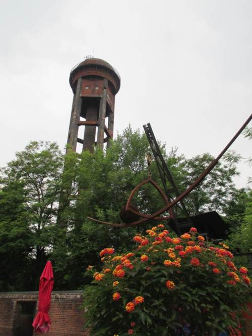 Ein alter Wasserturm überragt das Grün.