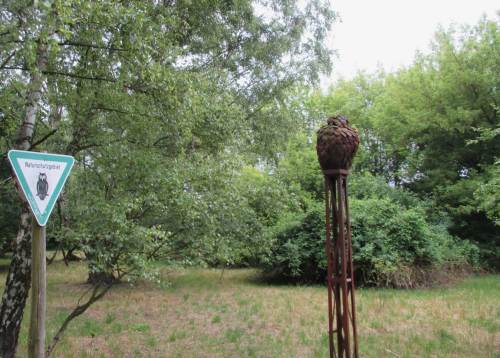 Naturschutz - zwei Eulen.