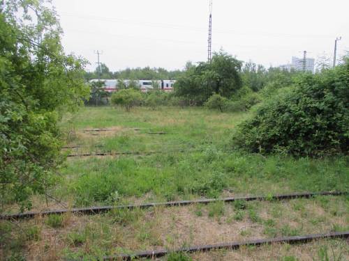 Ein neuer Kollege in weissrot prescht vorbei - gelbrote S-Bahn und rote Doppelstöcker brachten weitere Farben.