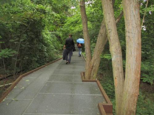 Kurzer Nieselregen wird vom Kronendach abgefangen.