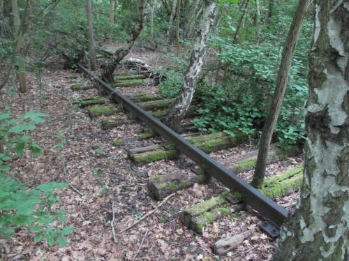 Wenn der Mensch geht, kommt das Grün.