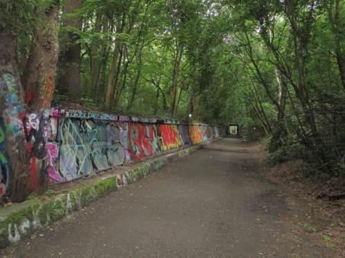 Auf dem Rückweg, Graffiti - gern hätten die Künstler das Beschmieren der Baumstämme lassen können!