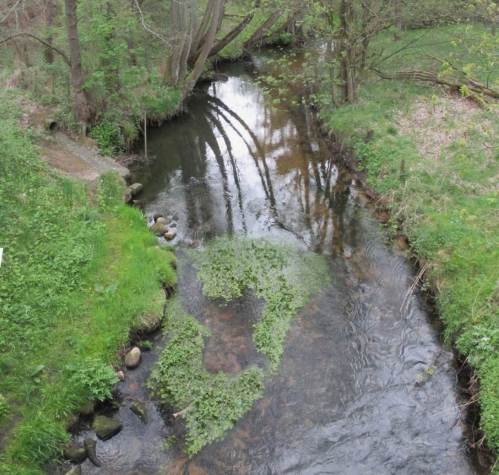 Übergang von überbreitem, sandbedecktem Estebereich in mit Kies und Geröll strukturierten. Der Wasserbaumeister Merk / Berle zeigt, der lebendige Bach möchte ein schmales Bett mit turbulenter Strömung. Wenn er kann, baut er es selbst.